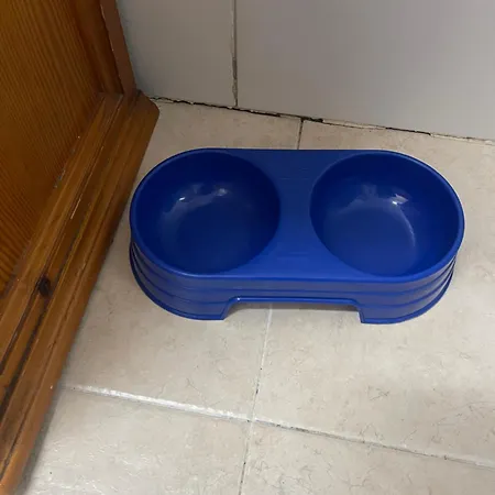 Acogedor Piso En Benissano Benisano
