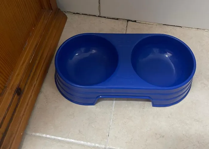 Acogedor Piso En Benissano Benisanó